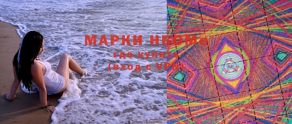ГАЛЛЮЦИНОГЕННЫЕ ГРИБЫ Балахна