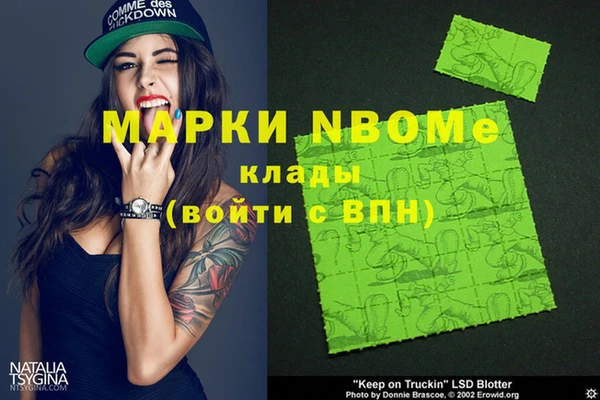 крисы Новодвинск