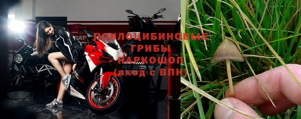 шишки Аркадак